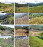 旺苍县废弃矿山综合治理项目种植前后对比1.jpg