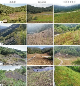 旺苍县废弃矿山综合治理项目种植前后对比